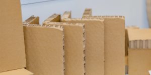 Thị Trường Bao Bì Giấy Đông Nam Á - Từ Sản Xuất Nội Địa Đến Thị Trường Thế Giới