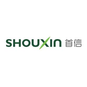 HONG KONG SHOUXIN INTERNATIONAL DEVELOPMENT LIMITED