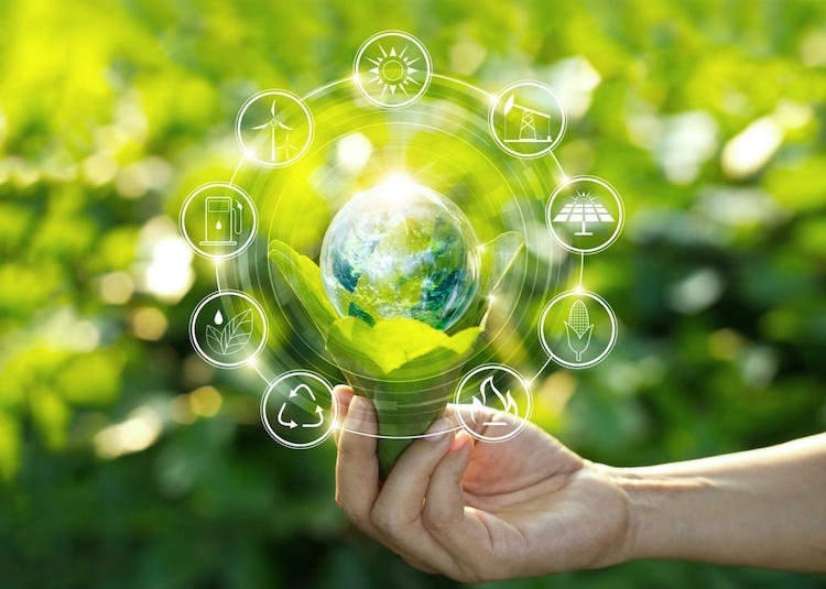 Infographic on ESG data and competitive advantage in the paper industry